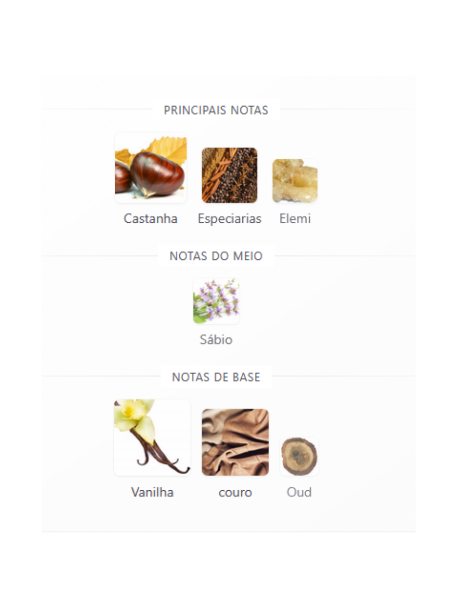 Rayhaan Corium Eau de Parfum 100ml Masculino