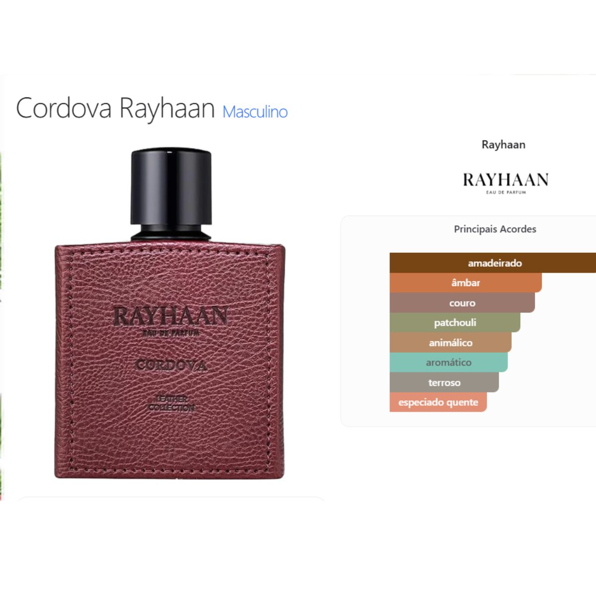 Perfume Árabe Cordova Rayhaan 100ml EDP Masculino