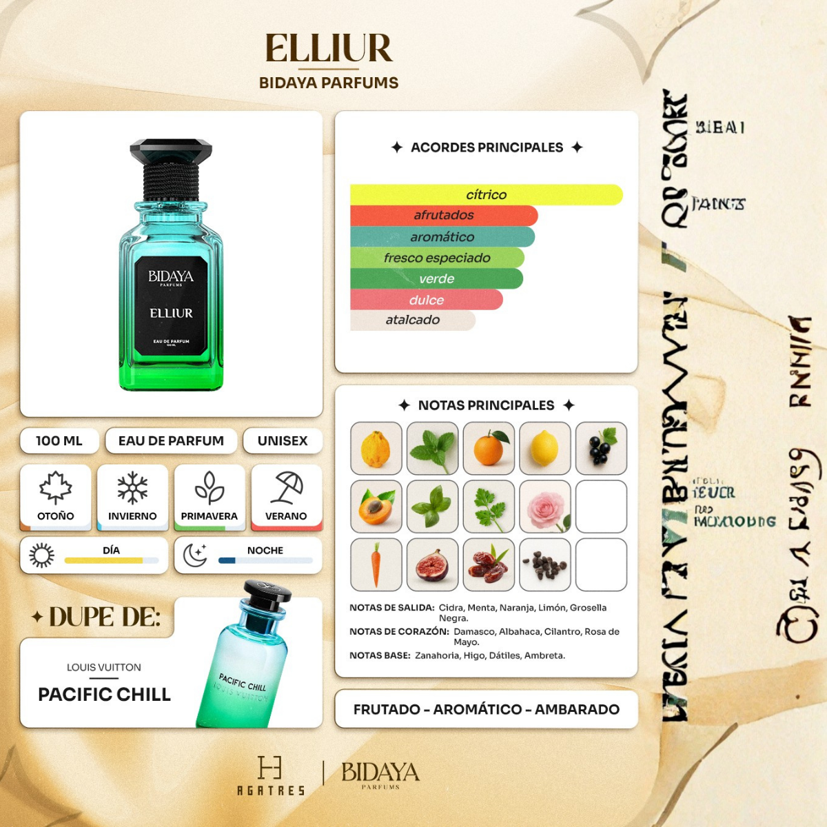 Perfume Árabe Bidaya Elliur 100ml Eau De Parfum Unissex