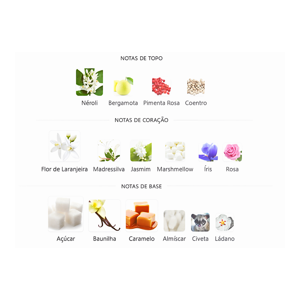 Perfume Árabe Fakhama Style & Scent 100ml EDP Amadeirado