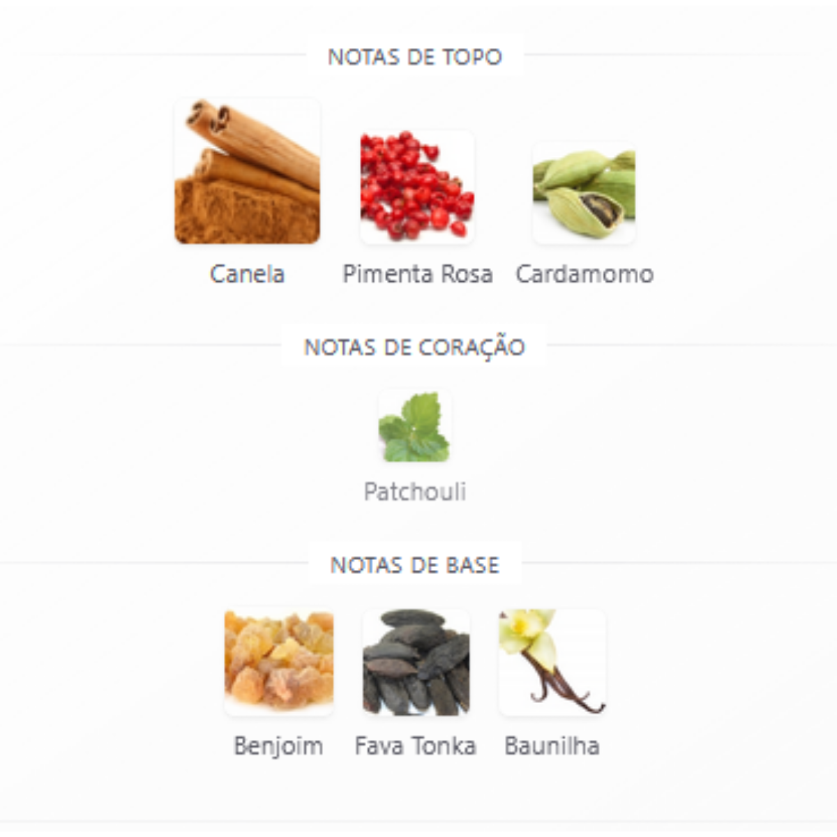 Rayhaan Crimson Eau de Parfum 100ml Masculino