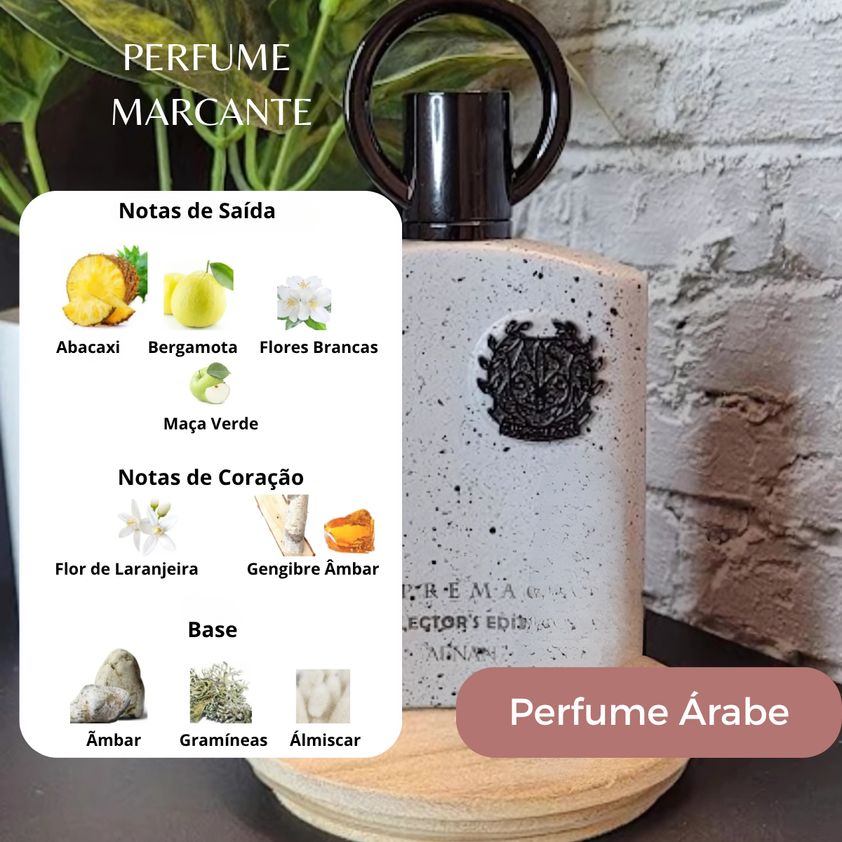 Supremacy Collector's Edition Afnan Edp 100ml Masculino