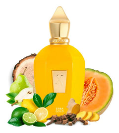 Perfume Erba Gold Xerjoff 100ml EDP Unissex Frutado