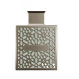 Perfume Árabe Terra Rayhaan 100ml EDP
