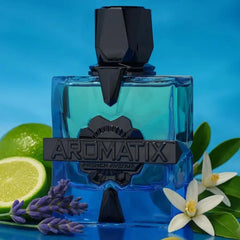 Perfume Árabe Aromatix Magnetiq French Avenue 100ml EDP