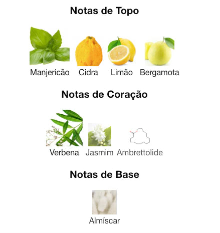 Perfume Árabe Voux Zingy Paris Corner 100ml EDP Cítrico Unissex