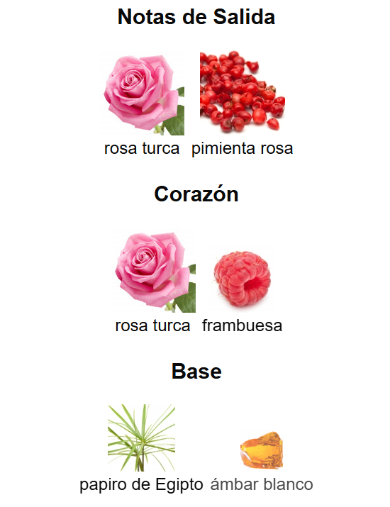 Perfume Árabe Roses D'émotion French Avenue 100ml EDP Unissex