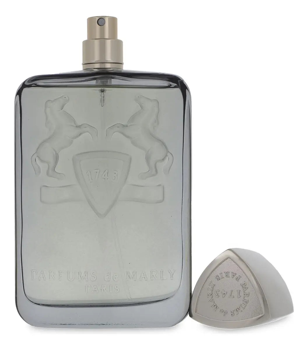 Perfume Parfums de Marly Castley EDP 125 ml