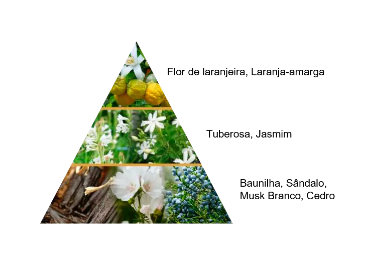 Perfume Árabe Hannah Al Nashwa Style & Scents 100ml EDP