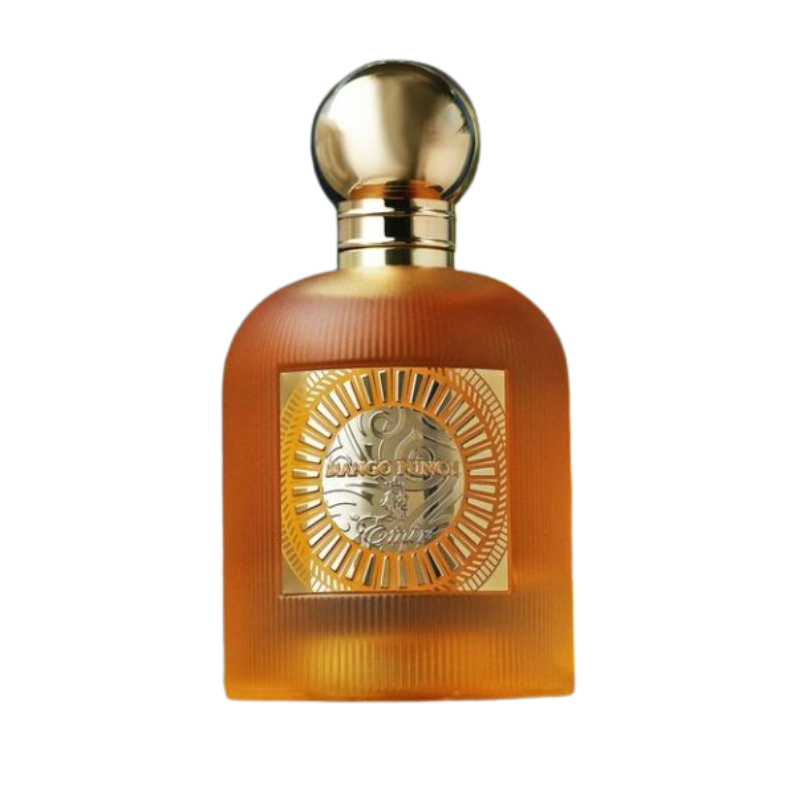 Frasco do perfume Mango Punch Paris Corner Eau De Parfum 100ml Unisex, família amadeirado e âmbar.