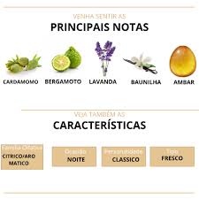 Perfume Árabe Ansaam Silver Lattafa 100ml EDP Unissex