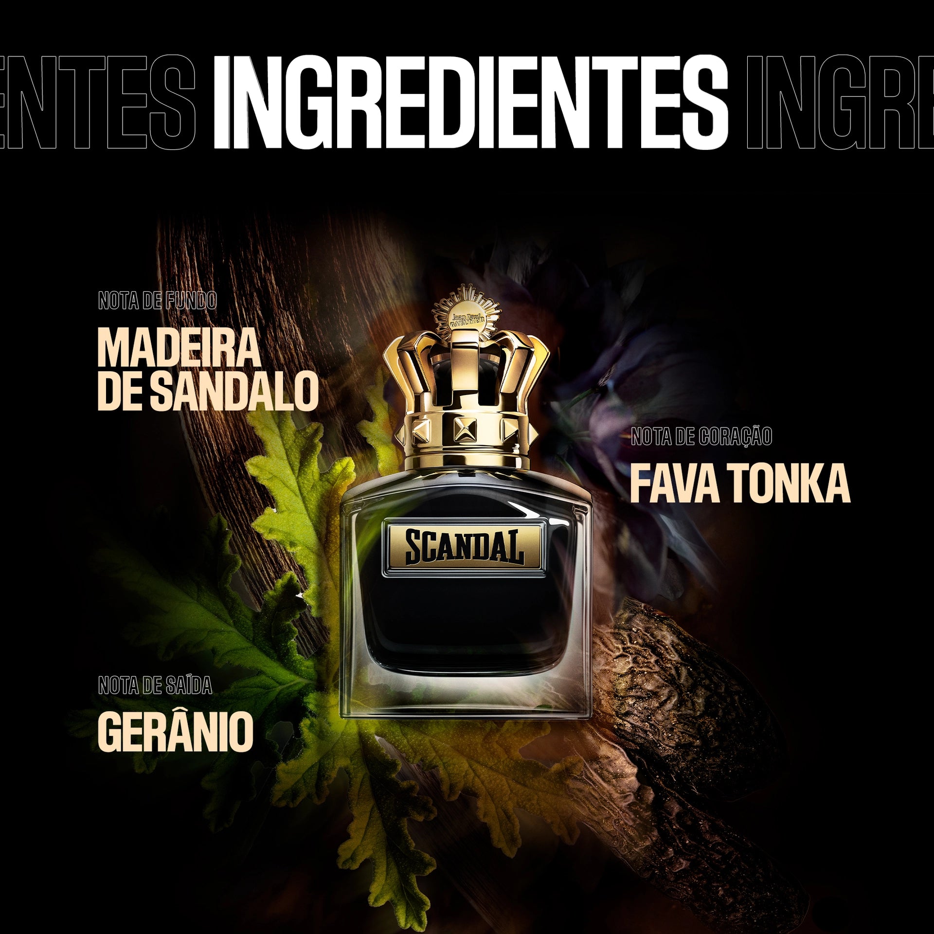Jean Paul Gaultier Scandal Le Parfum Edp 100ml Masculino