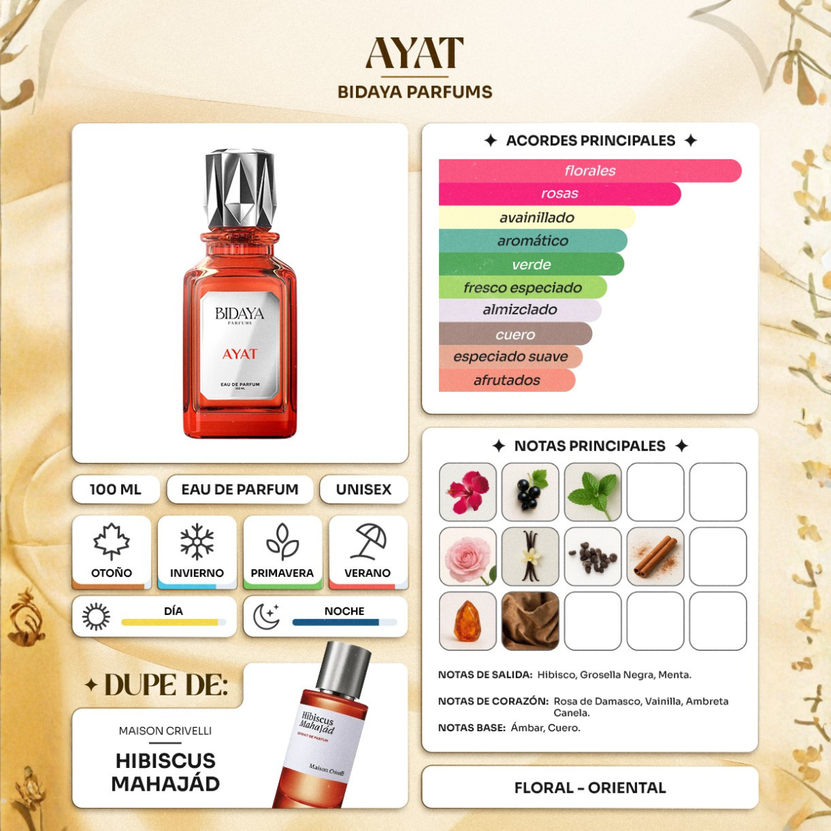 Perfume Árabe Bidaya Ayat 100ml Eau De Parfum 