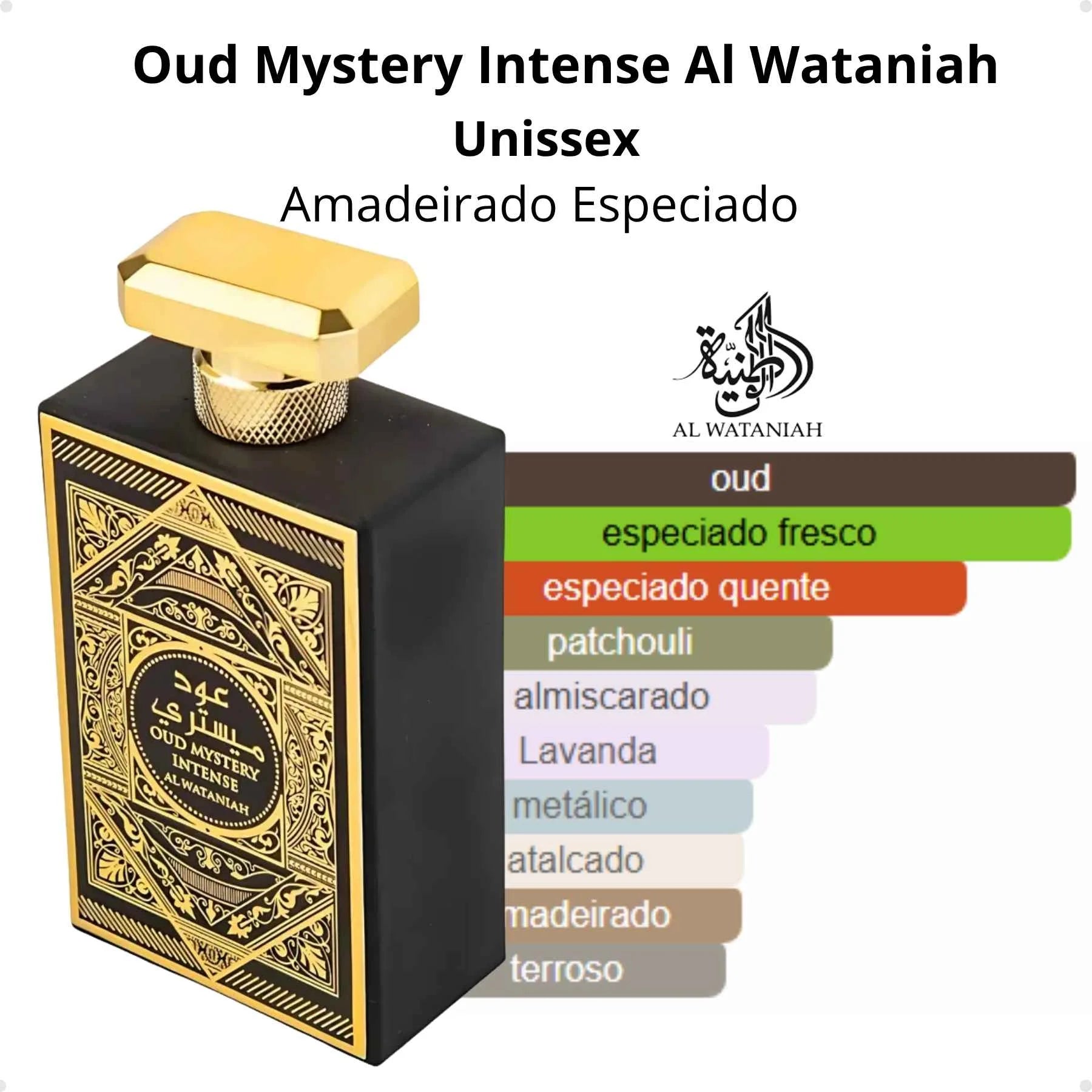 Oud Mystery Al Wataniah Eau De Parfum 100ml Masculino