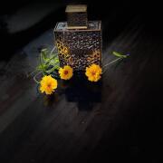 Rayhaan Elixir Eau de Parfum 100ml Unissex