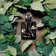 Spectre Ghost French Avenue Eau De Parfum 80ml Masculino