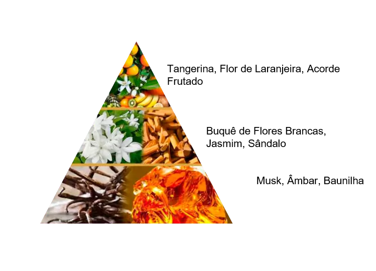 Perfume Árabe Tiya Al Musk Style Scent 100ml EDP Feminino